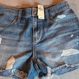 Denim Blue Distressed Women's Shorts